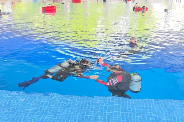 Go Diving (10)