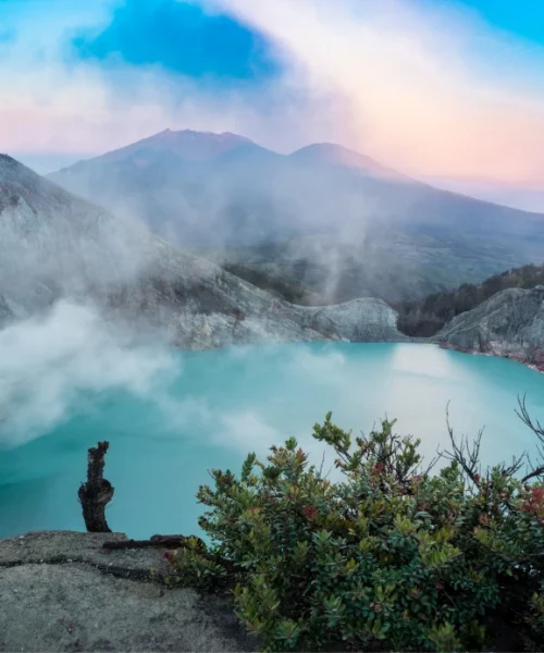 Jasa-Web-Murah-Tomasy-10.webp