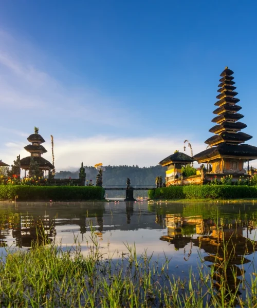 Jasa-Web-Murah-Tomasy-3-2.webp