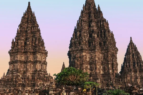 Jasa-Web-Murah-Tomasy-4-1.webp