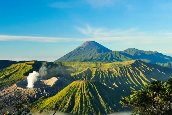 Jasa-Web-Murah-Tomasy-5-1.webp