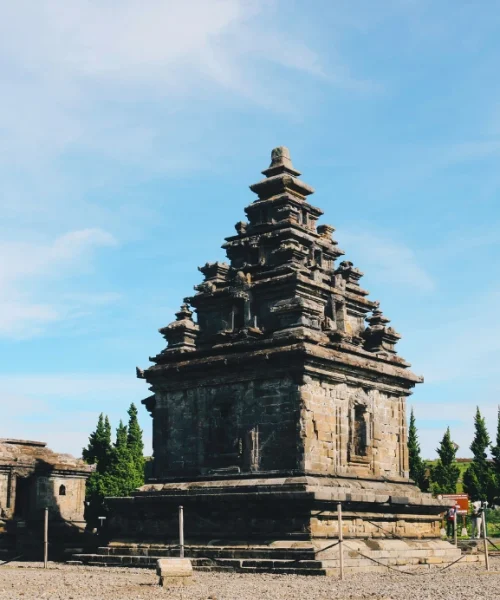 Jasa-Web-Murah-Tomasy-6.webp